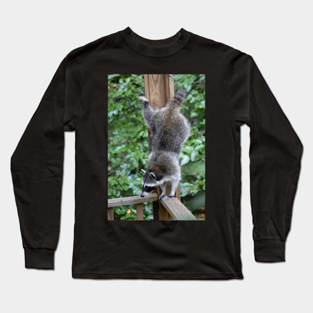 Raccoon Acrobatics Long Sleeve T-Shirt by astonishingemma